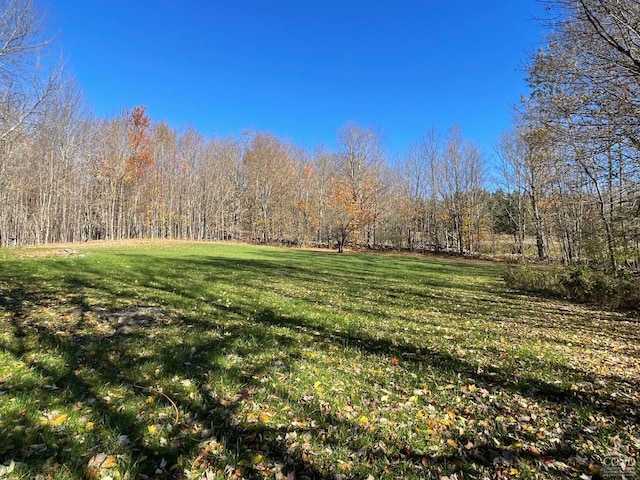 view of yard featuring a forest view
