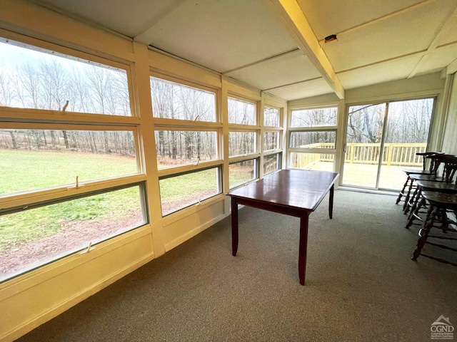 sunroom / solarium with carpet floors