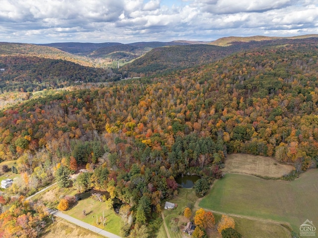 drone / aerial view with a mountain view