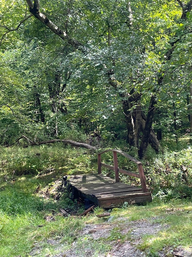 view of home's community with a wooden deck