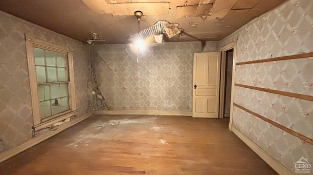 basement with hardwood / wood-style flooring