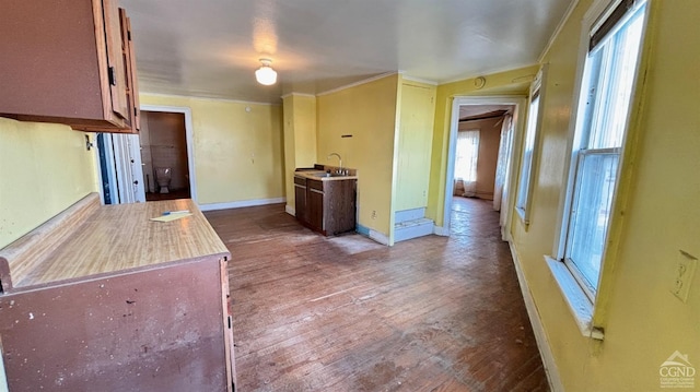 kitchen featuring hardwood / wood-style floors, crown molding, and sink