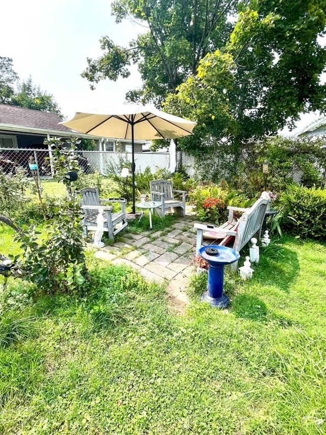 view of yard with a patio