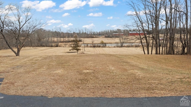 view of yard featuring a rural view