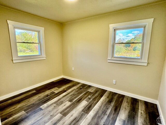 empty room with dark hardwood / wood-style flooring