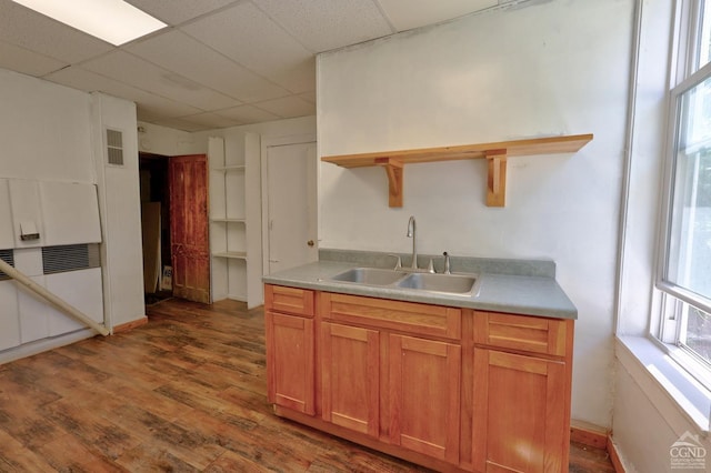 kitchen with a drop ceiling, wood-type flooring, sink, and a wealth of natural light