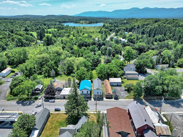 bird's eye view featuring a water and mountain view