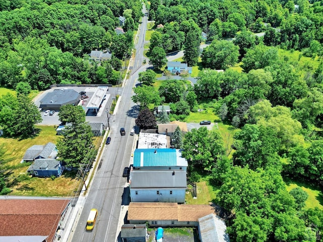 bird's eye view