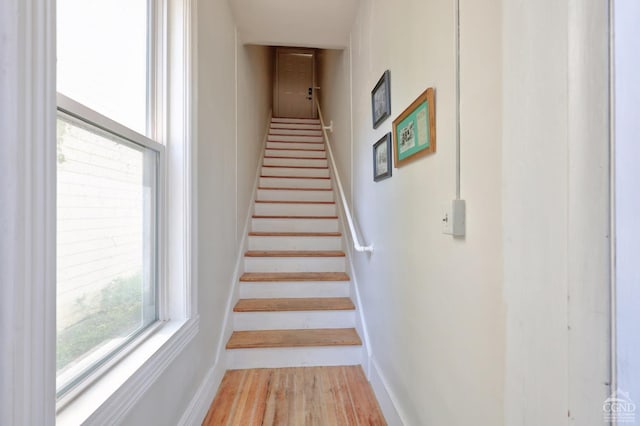 stairs with wood-type flooring and plenty of natural light