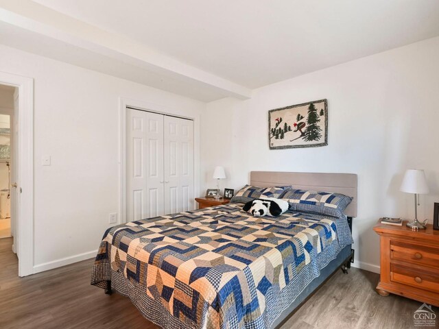 bedroom with a closet and dark wood-type flooring