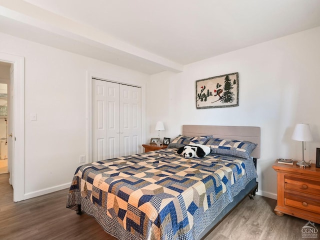 bedroom with wood-type flooring and a closet