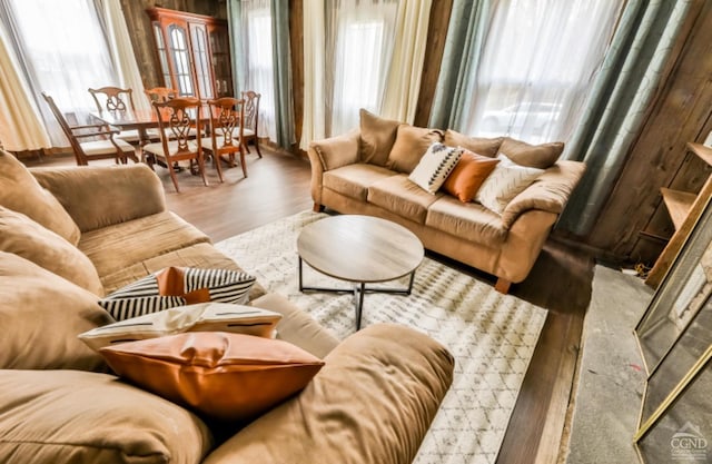 living room featuring hardwood / wood-style floors