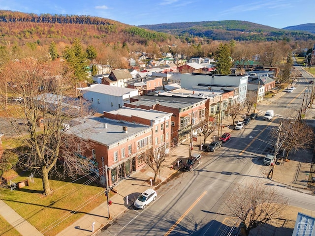 aerial view with a mountain view