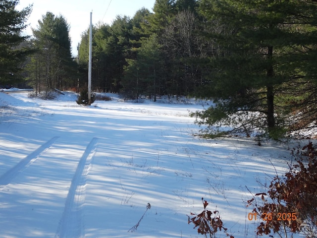 0 Alcove Rd, Hannacroix NY, 12087 land for sale