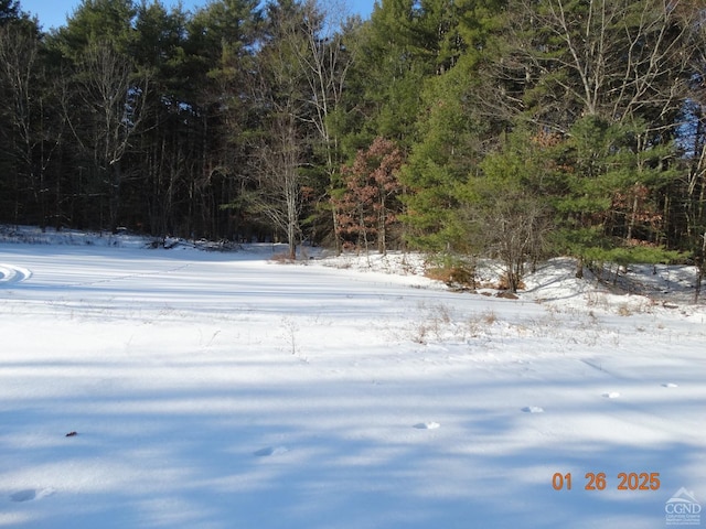 Listing photo 3 for 0 Alcove Rd, Hannacroix NY 12087