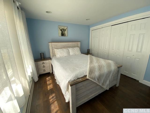 bedroom featuring dark wood-type flooring and a closet