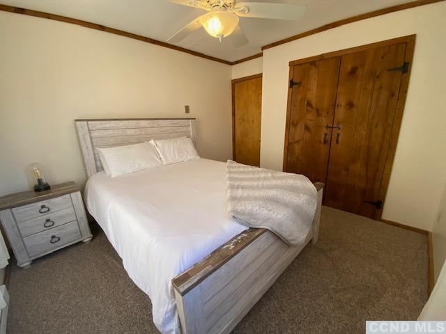 bedroom featuring ceiling fan, dark carpet, ornamental molding, and multiple closets