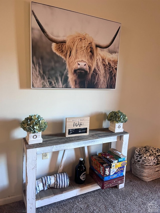 room details featuring carpet flooring