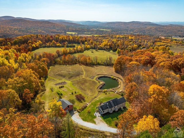 drone / aerial view with a mountain view