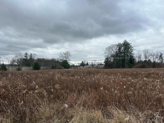 view of landscape with a rural view