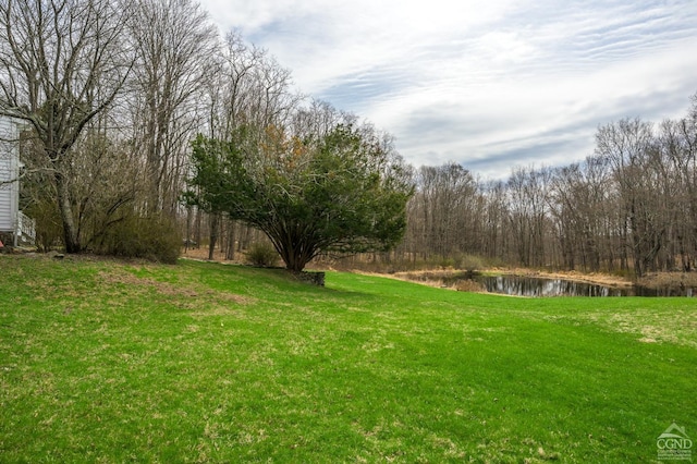 view of yard with a water view