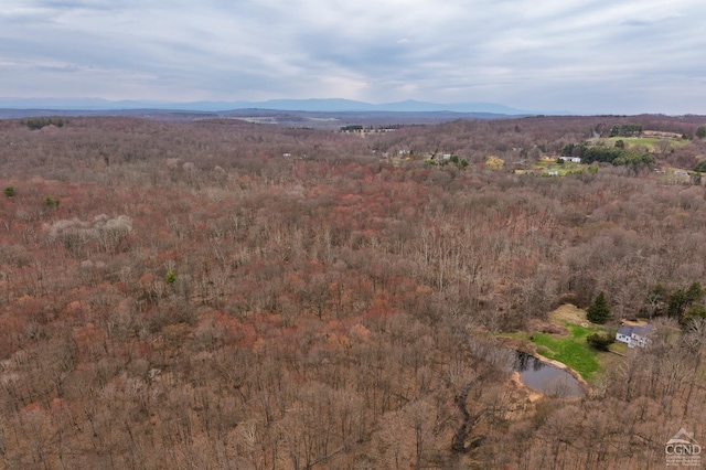 view of mountain feature with a wooded view