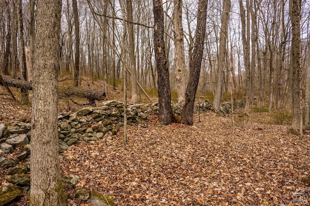 view of local wilderness with a wooded view