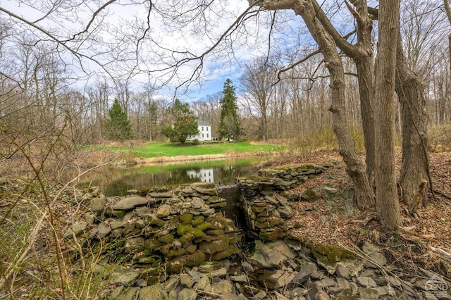 view of local wilderness featuring a water view