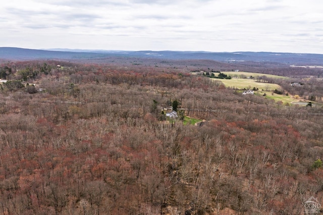 bird's eye view featuring a view of trees