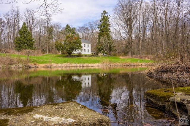view of water feature