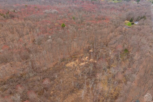 drone / aerial view featuring a wooded view