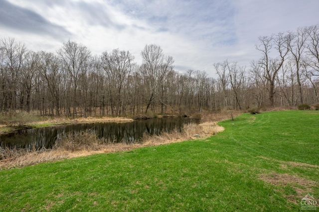 view of nature featuring a forest view