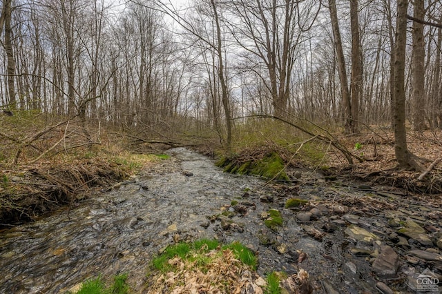 view of nature