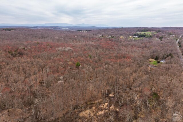 mountain view with a view of trees