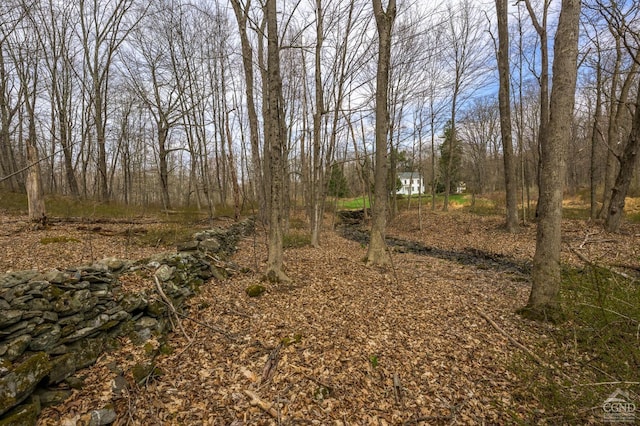 view of nature