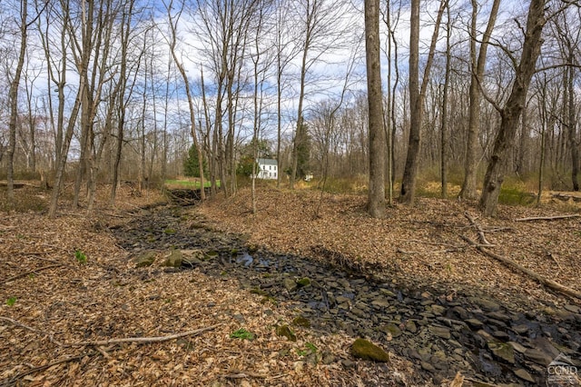 view of local wilderness
