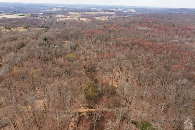 drone / aerial view with a forest view