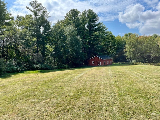 view of yard featuring an outbuilding and a wooded view