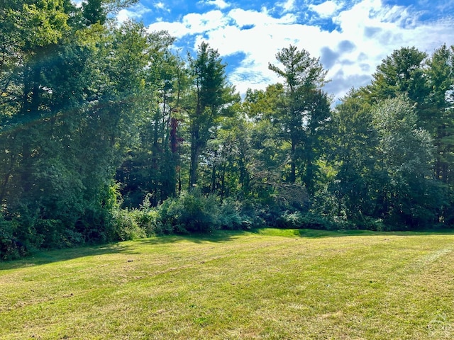 view of yard featuring a wooded view