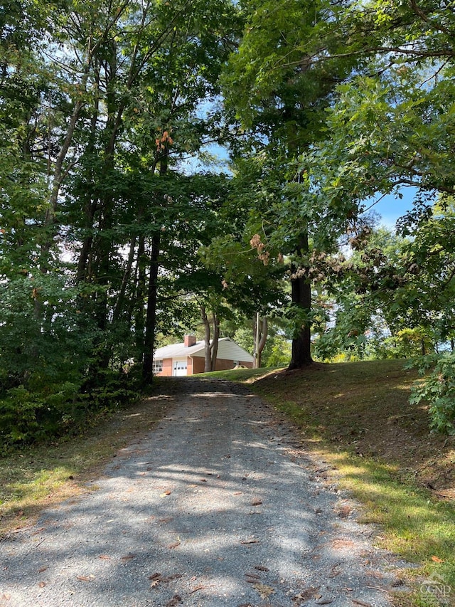 view of road featuring gravel driveway