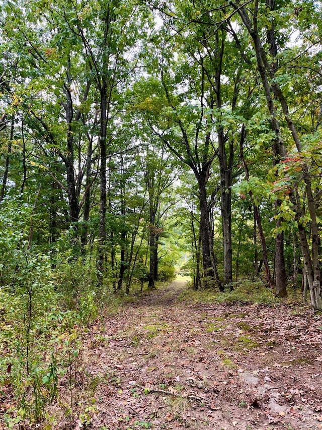 view of nature featuring a view of trees