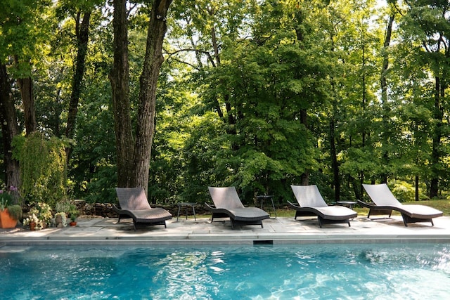 view of swimming pool