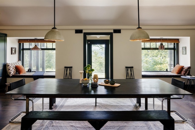 dining space with hardwood / wood-style flooring