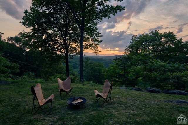 view of yard at dusk
