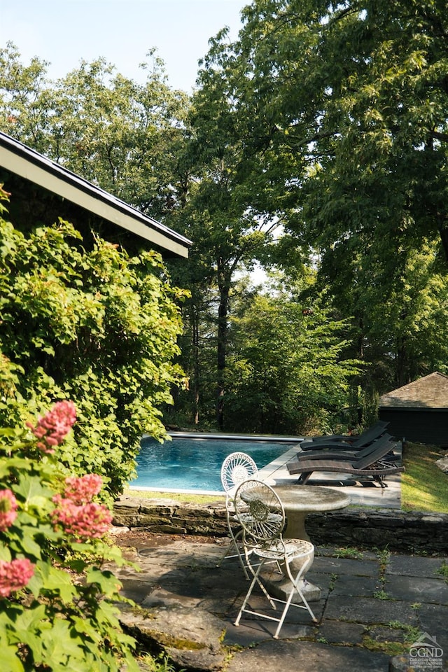 view of swimming pool