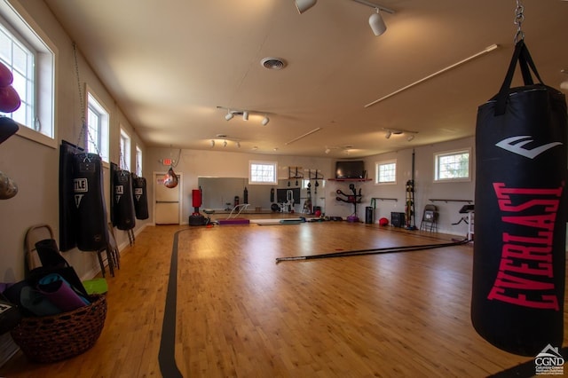 gym with rail lighting and hardwood / wood-style flooring