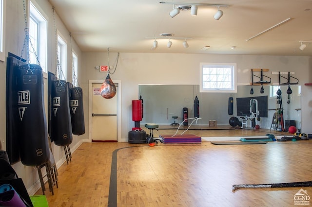 exercise room with rail lighting and light hardwood / wood-style flooring