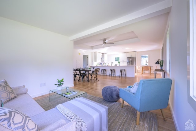 living room with hardwood / wood-style flooring, ceiling fan, a tray ceiling, and sink