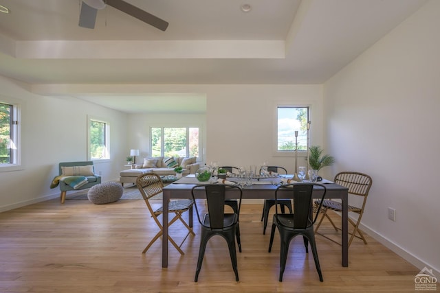 dining area featuring light wood-type flooring, ceiling fan, and a healthy amount of sunlight