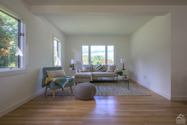 living room featuring light hardwood / wood-style flooring